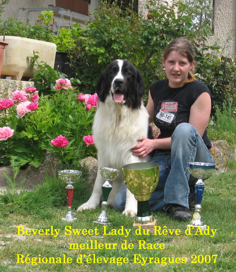 Beverly sweet lady du reve d'Ady