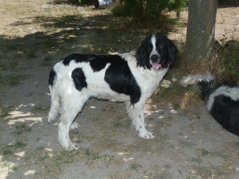 Coeurly du reve d'Ady