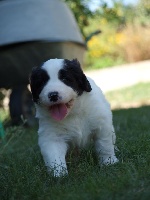 Jutta